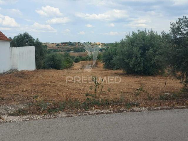 Terreno para venda em Abitureiras, concelho de Santarém, Santarém, Portugal