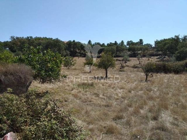 Terreno para venda em Alagoa, concelho de Portalegre, Portalegre, Portugal