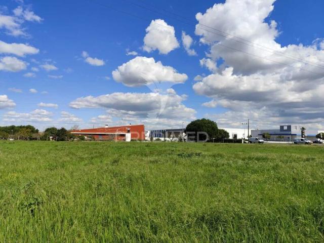 Terreno para venda em Alhos Vedros, concelho de Moita, Setúbal, Portugal