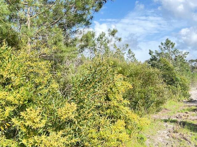 Terreno para venda em Aljezur, concelho de Aljezur, Faro, Portugal