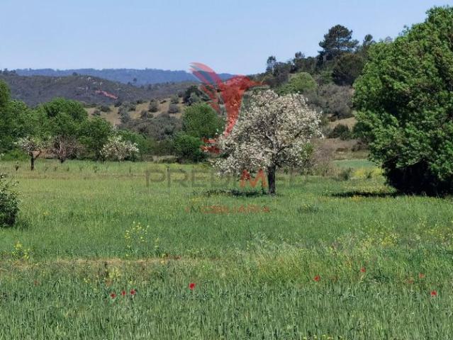 Terreno para venda em Arneiro das Milhariças, concelho de Santarém, Santarém, Portugal