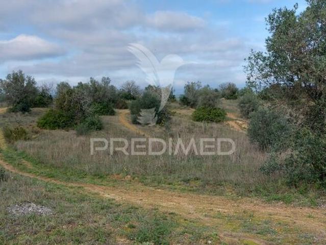 Terreno para venda em Arneiro das Milhariças, concelho de Santarém, Santarém, Portugal