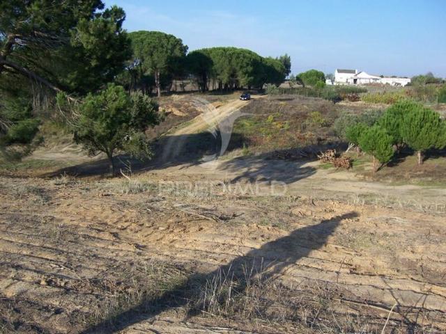 Terreno para venda em Aveiras de Cima, concelho de Azambuja, Lisboa, Portugal