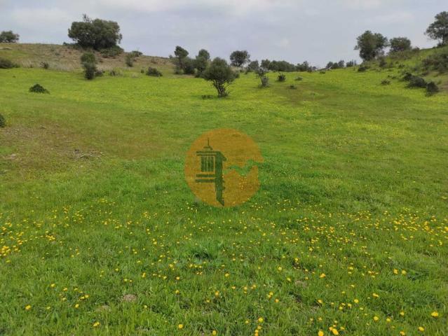 Terreno para venda em Beliche, Castro Marim, concelho de Castro Marim, Faro, Portugal