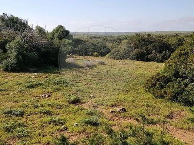 Terreno para venda em Budens, concelho de Vila do Bispo, Faro, Portugal
