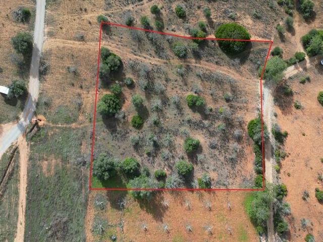 Terreno para venda em Guia, concelho de Albufeira, Faro, Portugal