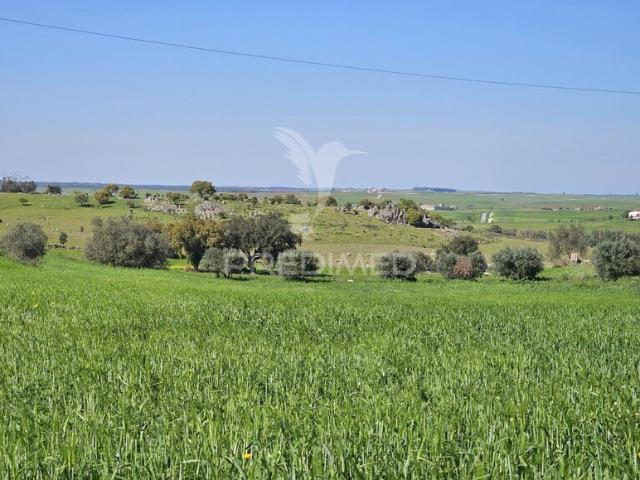 Terreno para venda em Entradas, concelho de Castro Verde, Beja, Portugal