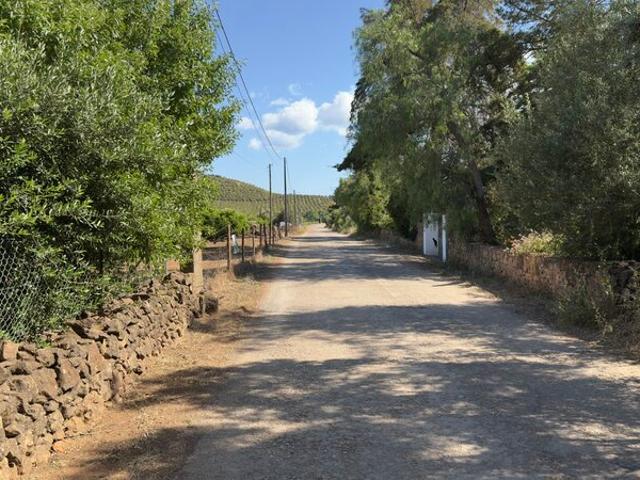 Terreno para venda em Foral, Algoz, concelho de Silves, Faro, Portugal