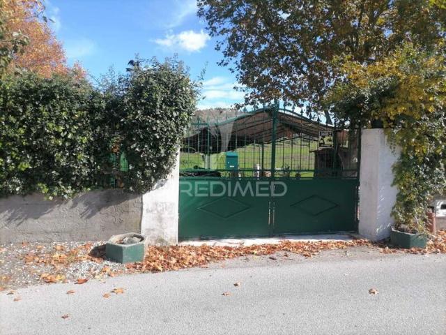 Terreno para venda em Fortios, concelho de Portalegre, Portalegre, Portugal