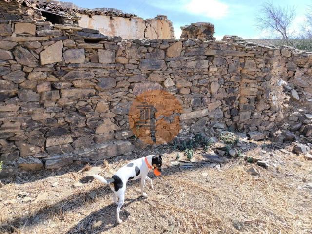 Terreno para venda em Faz Fato, Conceição, concelho de Tavira, Faro, Portugal