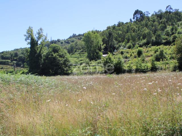 Terreno para venda em Infantas