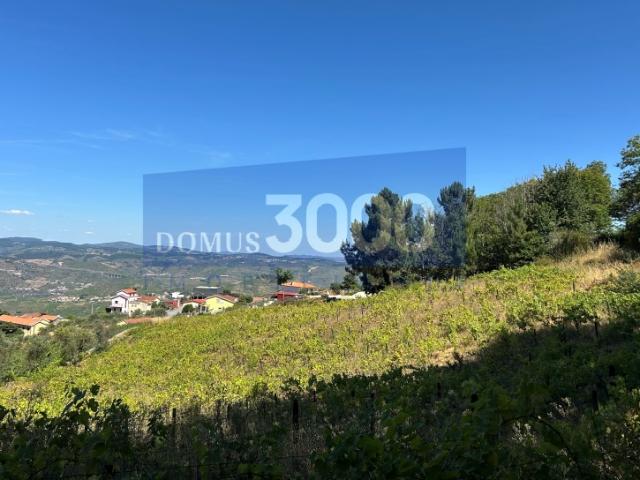 TERRENO PARA VENDA EM LOUREIRO PESO DA RÉGUA
