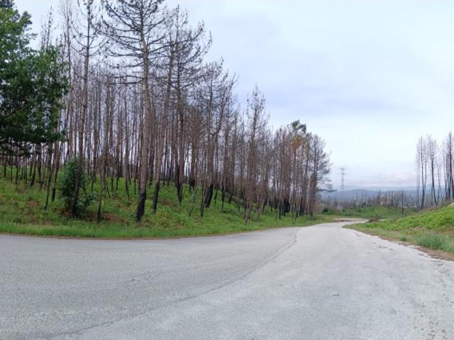 Terreno para venda em Mões Castro Daire