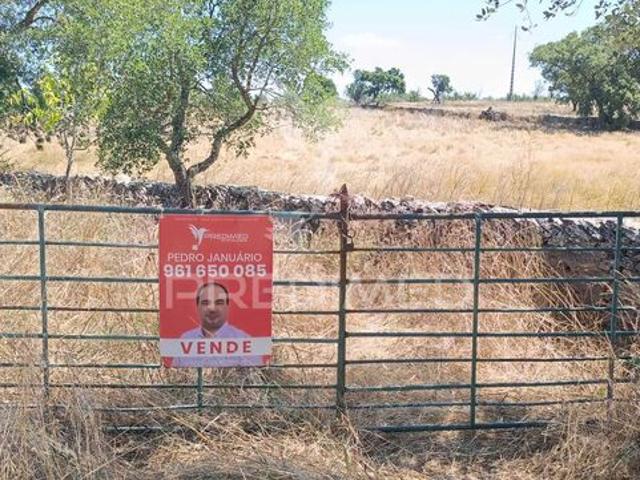 Terreno para venda em Montalvão, concelho de Nisa, Portalegre, Portugal