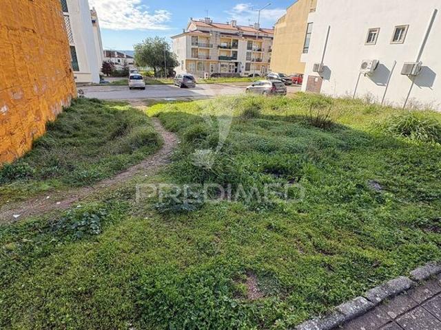 Terreno para venda em Montalvo, concelho de Constância, Santarém, Portugal