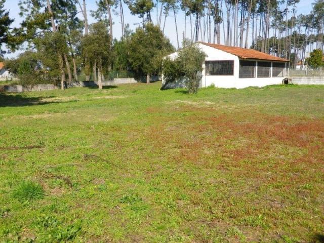 Terreno para venda em Monte Redondo, concelho de Leiria, Leiria, Portugal