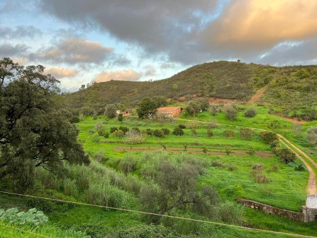 Terreno para venda em Montes de Cima, Mexilhoeira Grande, concelho de Portimão, Faro, Portugal