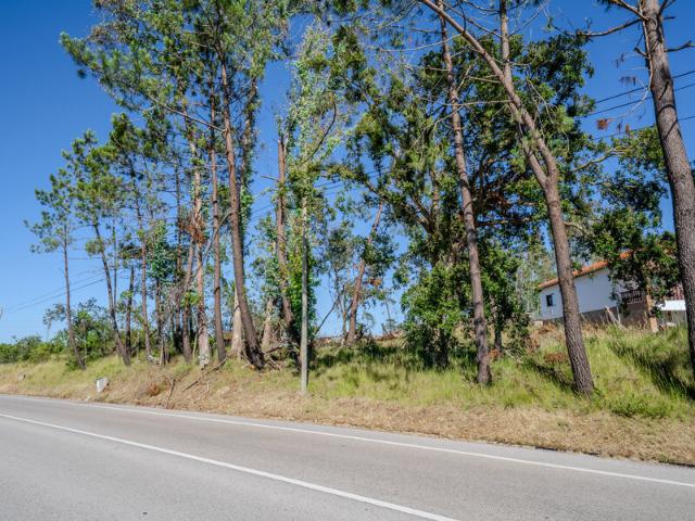 Terreno para venda em Maceira, concelho de Leiria, Leiria, Portugal