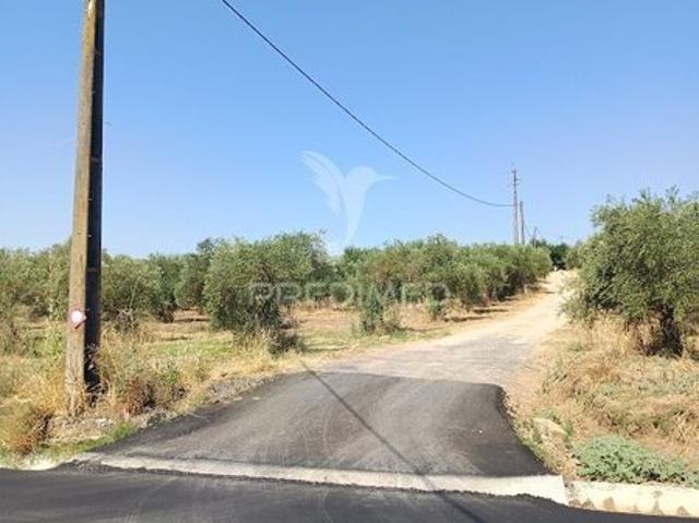 Terreno para venda em Nossa Senhora da Expectação, concelho de Campo Maior, Portalegre, Portugal