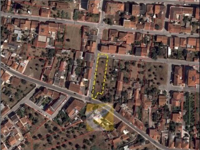 Terreno para venda em Nossa Senhora de Fátima, concelho de Entroncamento, Santarém, Portugal