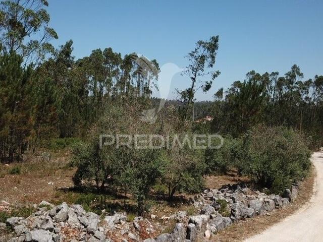 Terreno para venda em São Mamede, concelho de Batalha, Leiria, Portugal
