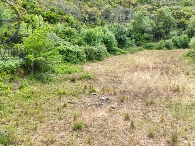 Terreno para venda em São Marcos da Serra, concelho de Silves, Faro, Portugal