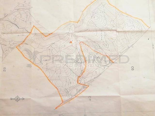 Terreno para venda em São Bartolomeu de Messines, concelho de Silves, Faro, Portugal