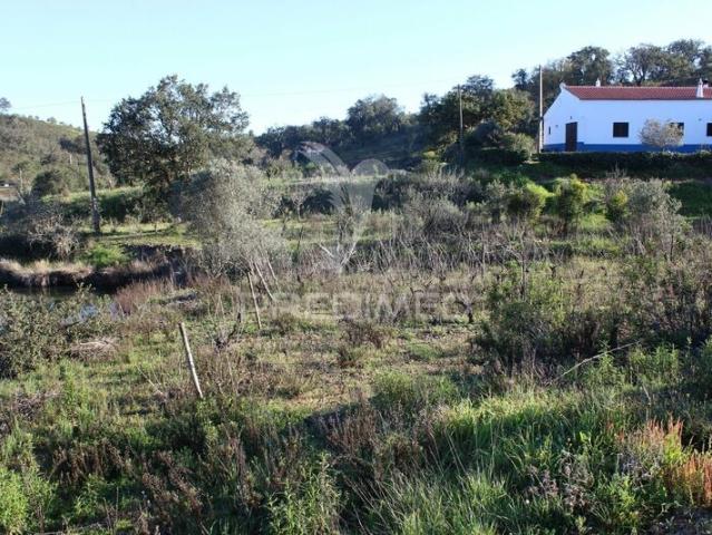 Terreno para venda em São Bartolomeu de Messines, concelho de Silves, Faro, Portugal