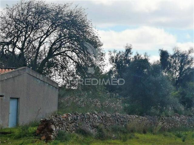 Terreno para venda em São Bartolomeu de Messines, concelho de Silves, Faro, Portugal