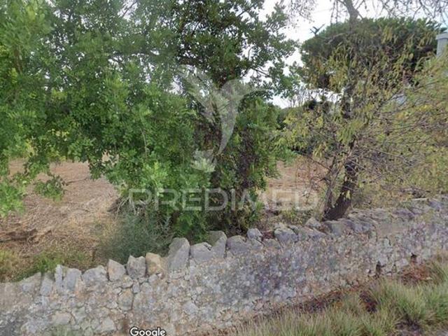Terreno para venda em São Brás de Alportel, concelho de São Brás de Alportel, Faro, Portugal