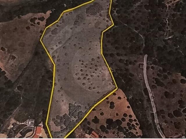 Terreno para venda em São Pedro, concelho de Torres Novas, Santarém, Portugal