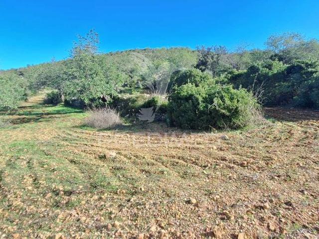 Terreno para venda em São Sebastião, concelho de Loulé, Faro, Portugal