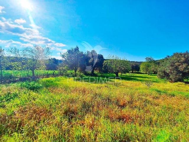 Terreno para venda em São Sebastião, concelho de Loulé, Faro, Portugal