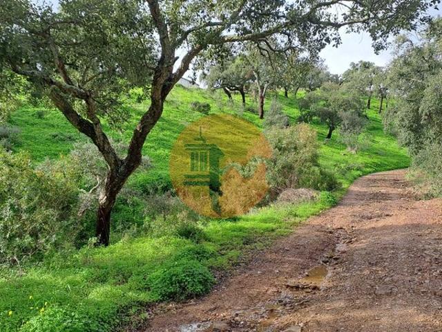 Terreno para venda em Santa Catarina da Fonte do Bispo, concelho de Tavira, Faro, Portugal