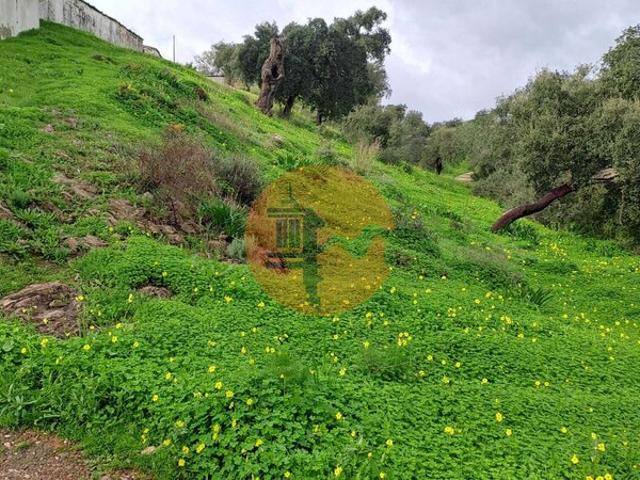 Terreno para venda em Santa Catarina da Fonte do Bispo, concelho de Tavira, Faro, Portugal