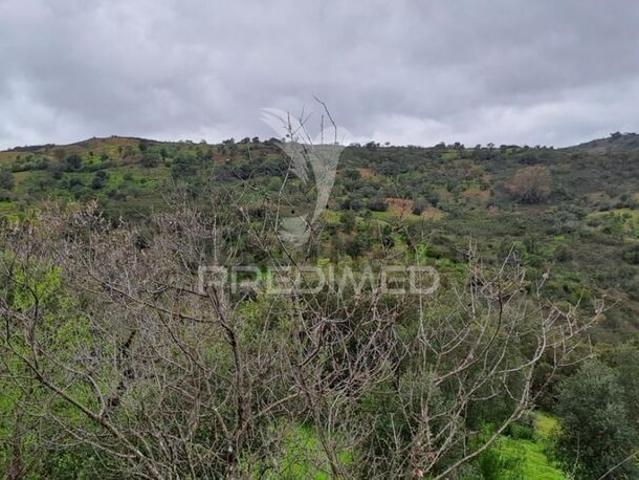 Terreno para venda em Santa Catarina da Fonte do Bispo, concelho de Tavira, Faro, Portugal