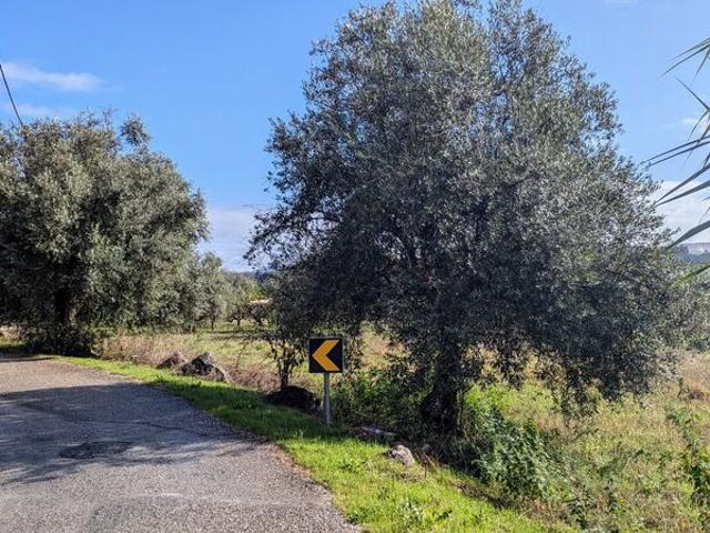 Terreno para venda em Pombal, concelho de Pombal, Leiria, Portugal