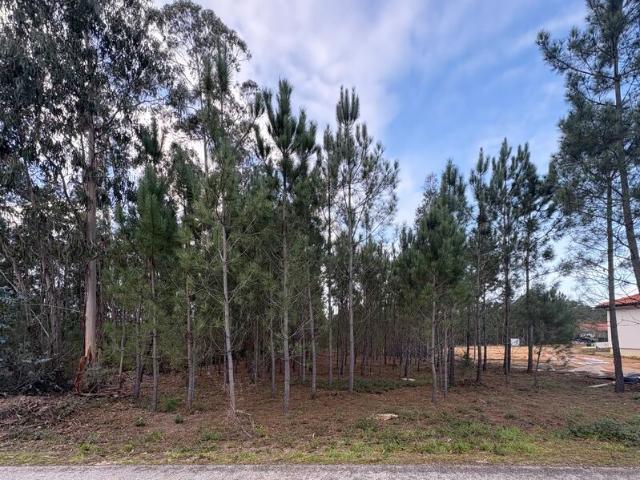 Terreno para venda em Pombal, concelho de Pombal, Leiria, Portugal