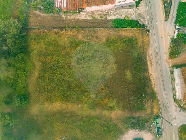 Terreno para venda em Paialvo, concelho de Tomar, Santarém, Portugal