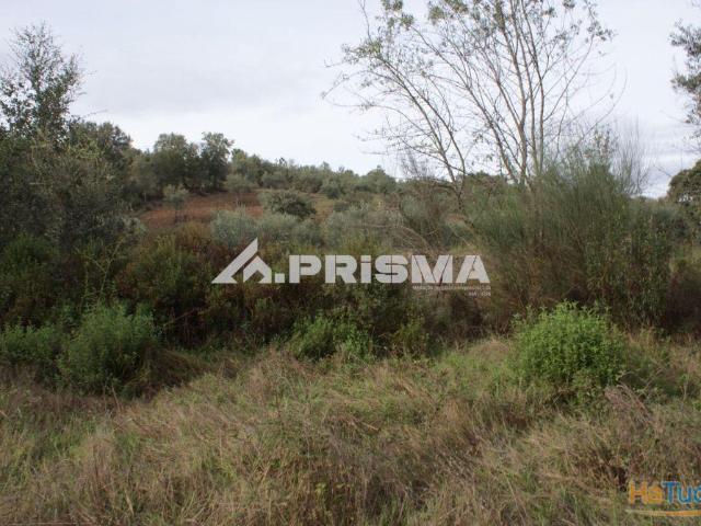 Terreno para venda em Penamacor | 26083723241