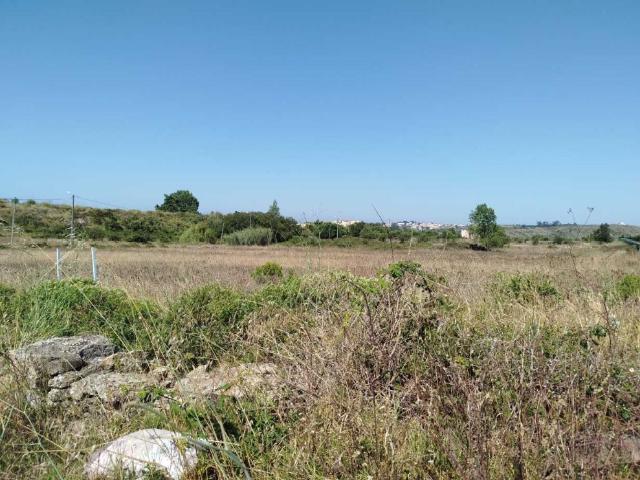 Terreno para venda em Pero Pinheiro Sintra
