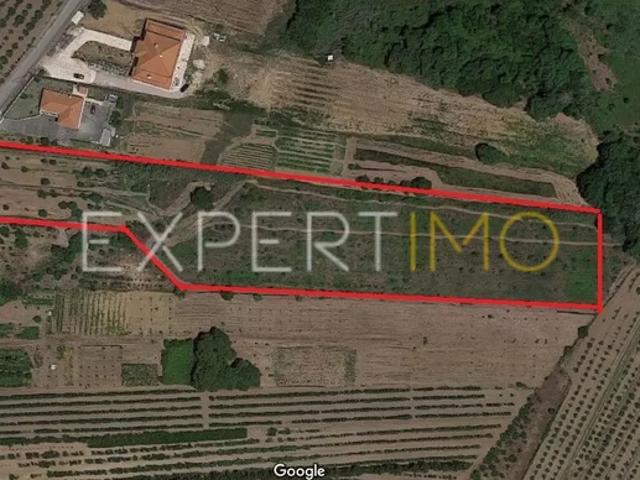 Terreno para venda em Roliça, concelho de Bombarral, Leiria, Portugal