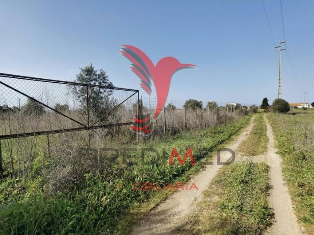 Terreno para venda em Romeira, concelho de Santarém, Santarém, Portugal