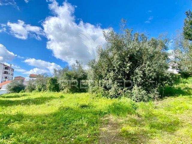 Terreno para venda em Rio Maior, concelho de Rio Maior, Santarém, Portugal