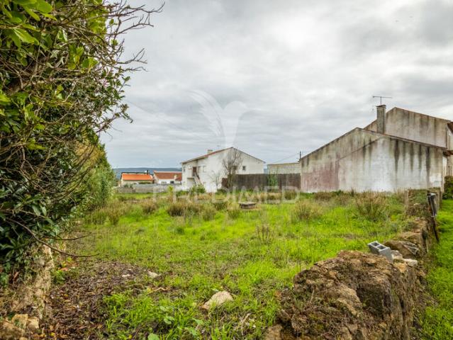 Terreno para venda em Turquel, concelho de Alcobaça, Leiria, Portugal