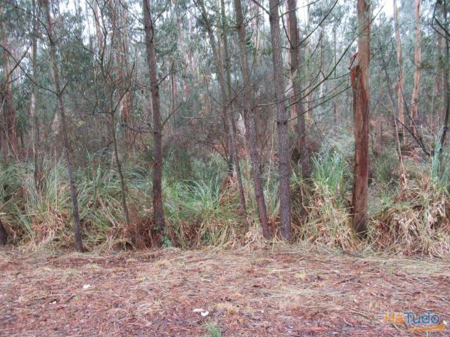 TERRENO PARA VENDA EM VILA NOVA DE GAIA | 26061964594