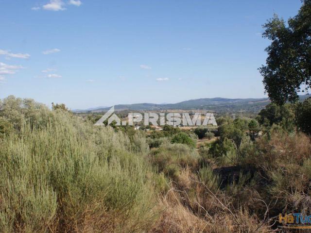 Terreno para Venda em Zona Florestal Encosta da Serra | 26063859397