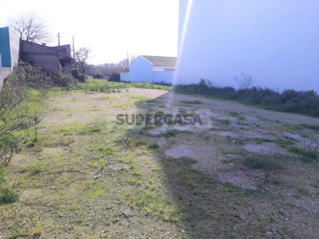 Terreno para venda ou permuta Ílhavo centro