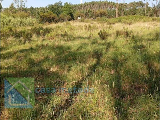 Terreno para venda no Maxial Torres Vedras