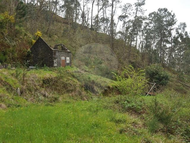 Terreno para venda nos Canhas, Ponta do Sol m² Canhas